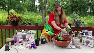 Story and Gardening w/Ms. Jamie & Ms. Seanine: Make a Fairy Garden