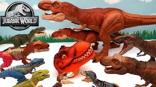 My Tyrannosaurus Rex Dinosaur Collection With Jurassic World! T-Rex Dinosaurs