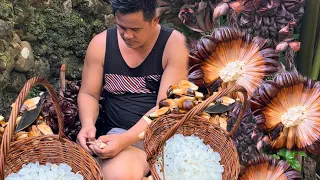 Harvesting Nipa Palm Fruit and making a delicious sweet afternoon snack! | Life in the countryside