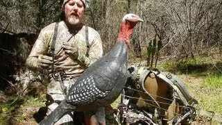 Turkey Hunting: Bowhunting Shot Placement