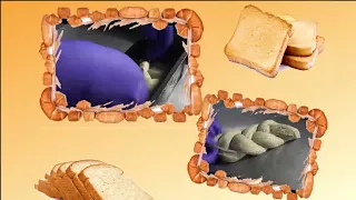 Золотой рассвет Тостовый хлеб
