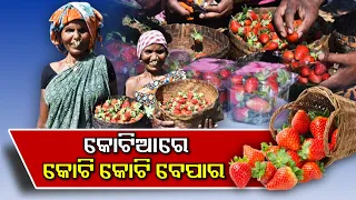 Visit To Koraput District's "KOTIA", Let Us Know More About This Place || KalingaTV