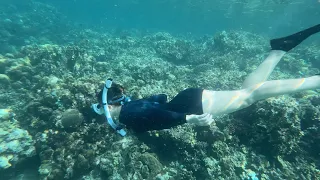 LOVE AT FIRST DIVE 🤿🪸
