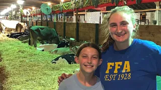 Dairy fitting and Body Clipping with Megan Davenport