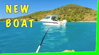 Shark off the beach - Day 2 in the new boat - EP.576