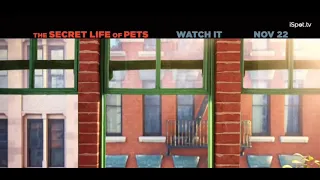 The Secret Life of Pets (2016) - Digital HD TV spot