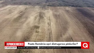 România în Direct din deșertul Olteniei. Poate România opri distrugerea pădurilor?