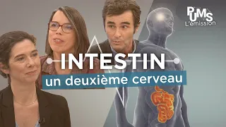 Soigner son intestin et son microbiote pour une meilleure santé ? L’importance du dépistage.