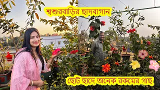 শ্বশুরবাড়ির ছাদবাগান..আম-জাম থেকে শুরু করে আলুবোখরা..আছে সুস্মিতা জবা.রোহনের ছোটবেলার কিছু স্মৃতি.