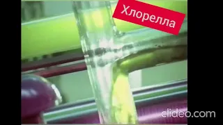 Что известно было в СССР про хлореллу