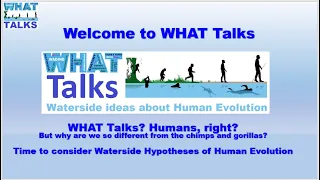 WHAT Talk # 01 - Nov 2021 Introduction to WHAT Talks  by Algis Kuliukas
