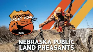 Nebraska Public Land Pheasants | 2023 Rooster Road Trip Ep. 4