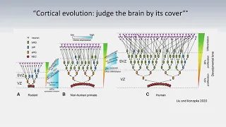 CARTA: Human Cognitive and Behavioral Variation with Daniel Geschwind