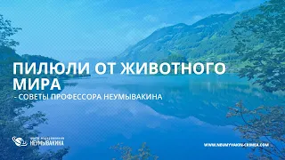 Советы профессора Неумывакина -  Пилюли от животного мира!