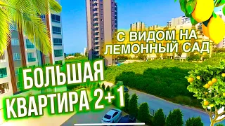 Квартира НЕДОРОГО в Турции г. Мерсин 400 МЕТРОВ до МОРЯ