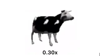 Polish cow song 0.20x - 100x SPEED