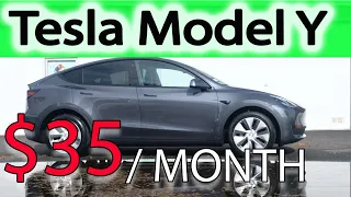 Tesla Model Y Charging Cost in 2023 - Is it still worth it?
