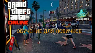 С ЧЕГО НАЧАТЬ - MAJESTIC RP GTA 5 | SERVER 1