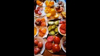 Видео каталог сортов томатов. Часть 1. Заказ семян: nadezda.firsova@mail.ru