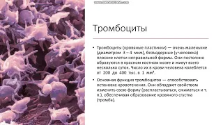 8 класс Внутренняя среда организма Иммунитет Тромбоциты Свёртывание крови Лимфатическая система