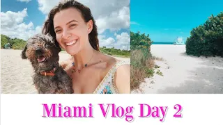 MIAMI TRAVEL VLOG - DAY 2 (Haulover Dog Beach, Wynwood Walls)