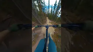 Would you ride this?
