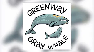 GreenWAy Global спасает серых китов.