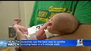 Research shows 5-minute walk is best way to soothe crying babies