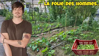 Mon POTAGER EXTRAORDINAIRE au 21 mai