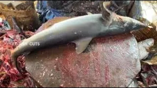 King Fish！Amazing Seer Fish Cutting Skills, Fried Fish Belly  大魚進港！肥美土魠魚切割技能, 香煎土魠魚排, 炙燒握壽司丸萬鮮魚行