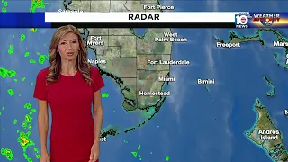 Local 10 News Weather: 06/07/21 Morning Edition