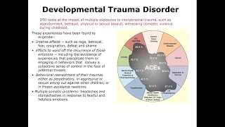 The Model Of Developmental Immaturity: Understanding Developmental Trauma and Recovery