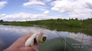 Воблер Шершень и мини жерех .