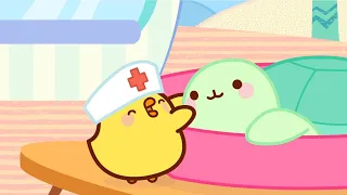 Molang and Piu Piu take care of the animals 🩹| Funny Compilation for Kids