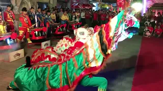 #ตรุษจีนปากน้ำโพDescendant of the Great Five 新正如意 新年发财5 Kinds Lion Dance @ Nakornsawan, Thailand