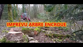 AFFOUAGE ARBRE ENCROUE mp4