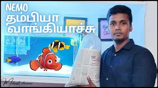 finally 🤯 adding my dream fishes in our saltwater  tank 🔥🤩| #aquarium #tamil #nemofish #fishtank