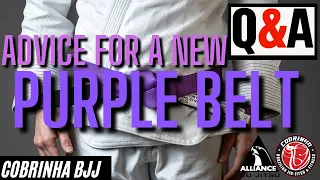 Advice for a new Purple belt - BJJ Q and A