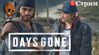 Days Gone. Жизнь После ➤ В шахту с фриками за динамитом. Момент просветления.➤ СТРИМ Прохождение #11