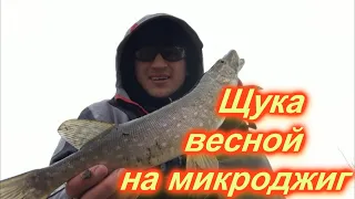 Щука весной На микроджиг| Джиг- Риг нюансы проводки