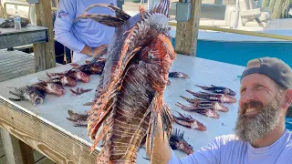 Lionfish Massacre in Florida!