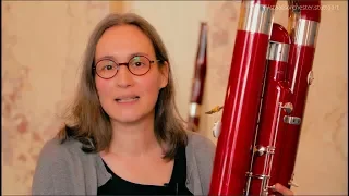 Staatsorchester Stuttgart - Das Kontrafagott - Musiker und ihre Instrumente