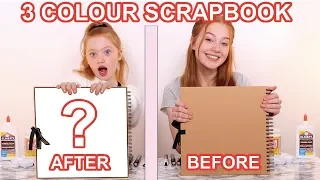 TWIN TELEPATHY 3 COLOR PAINT & PAPER *DIY Scrapbook Makeover Challenge | Sis Vs Sis| Ruby and Raylee