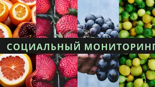 Самоизоляция. Приложение Социальный мониторинг.