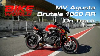 MV Agusta Brutale 1000 RR On Track