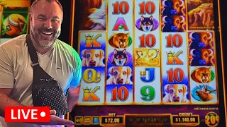 LIVE: 12 HAND PAY Jackpots & A HUGE $72 BET BUFFALO WIN #gaming