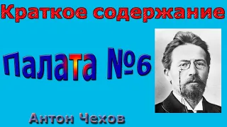 Краткое содержание Палата №6, Чехов