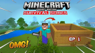 Minecraft Pe Survival series EP-1 in Hindi 1.19 | I made survival house & iron armour |#minecraftpe