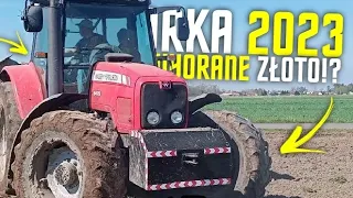 🚨Wyorane złoto?!✈️Orka 2023🔥MF 6475❣️