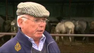 Recession hits Ireland's horses